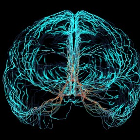 digital simulation of brain nerve electrical signals