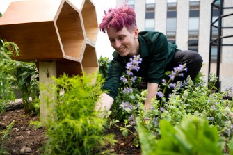 Ashlin Davis installing plants around a beehive