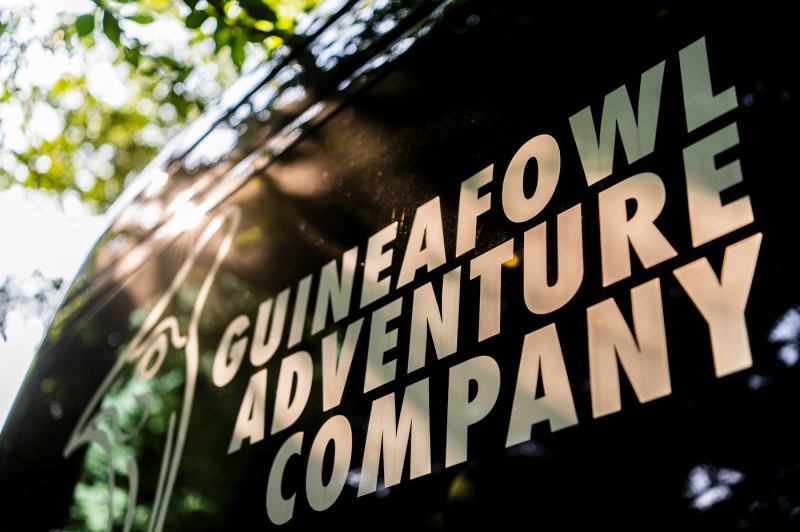 Guineafowl Adventure Company branding