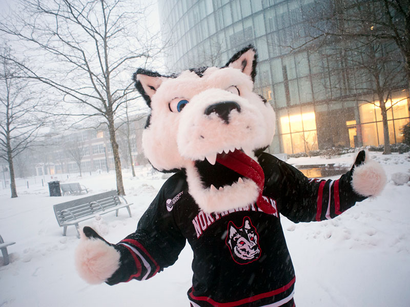 king husky mascot outside in the snow giving two thumbs up
