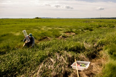 Johanna L'Heureux working in the field at Plum Island Estuary