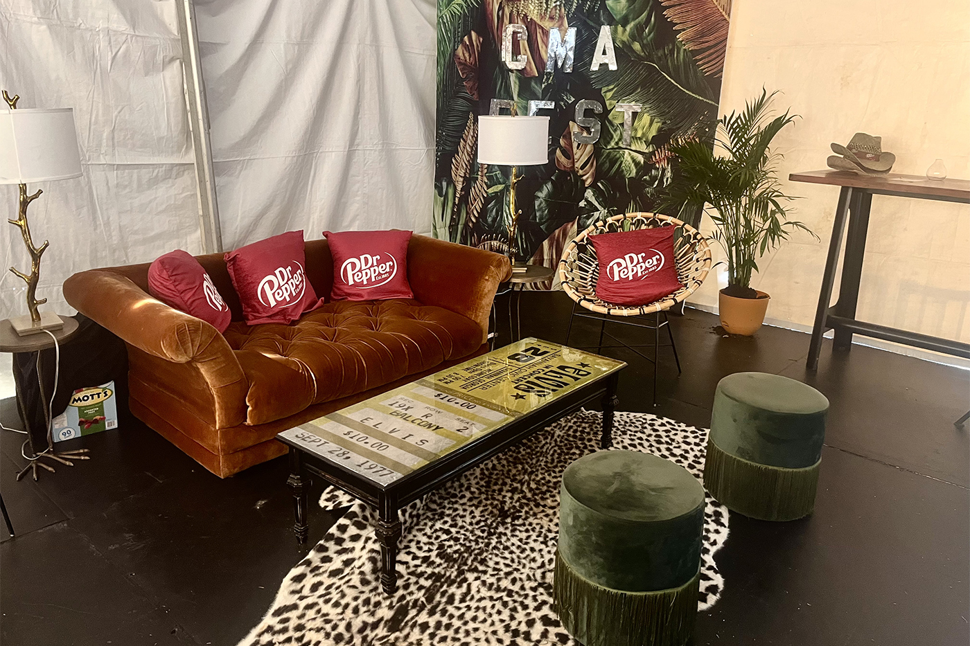 Dr Pepper throw pillows on a couch on top of a leopard print rug