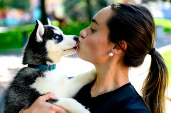A person kisses a husky puppy.