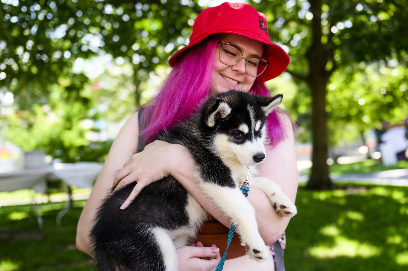 A person with a red hat and pink hair holds a husky puppy. 
