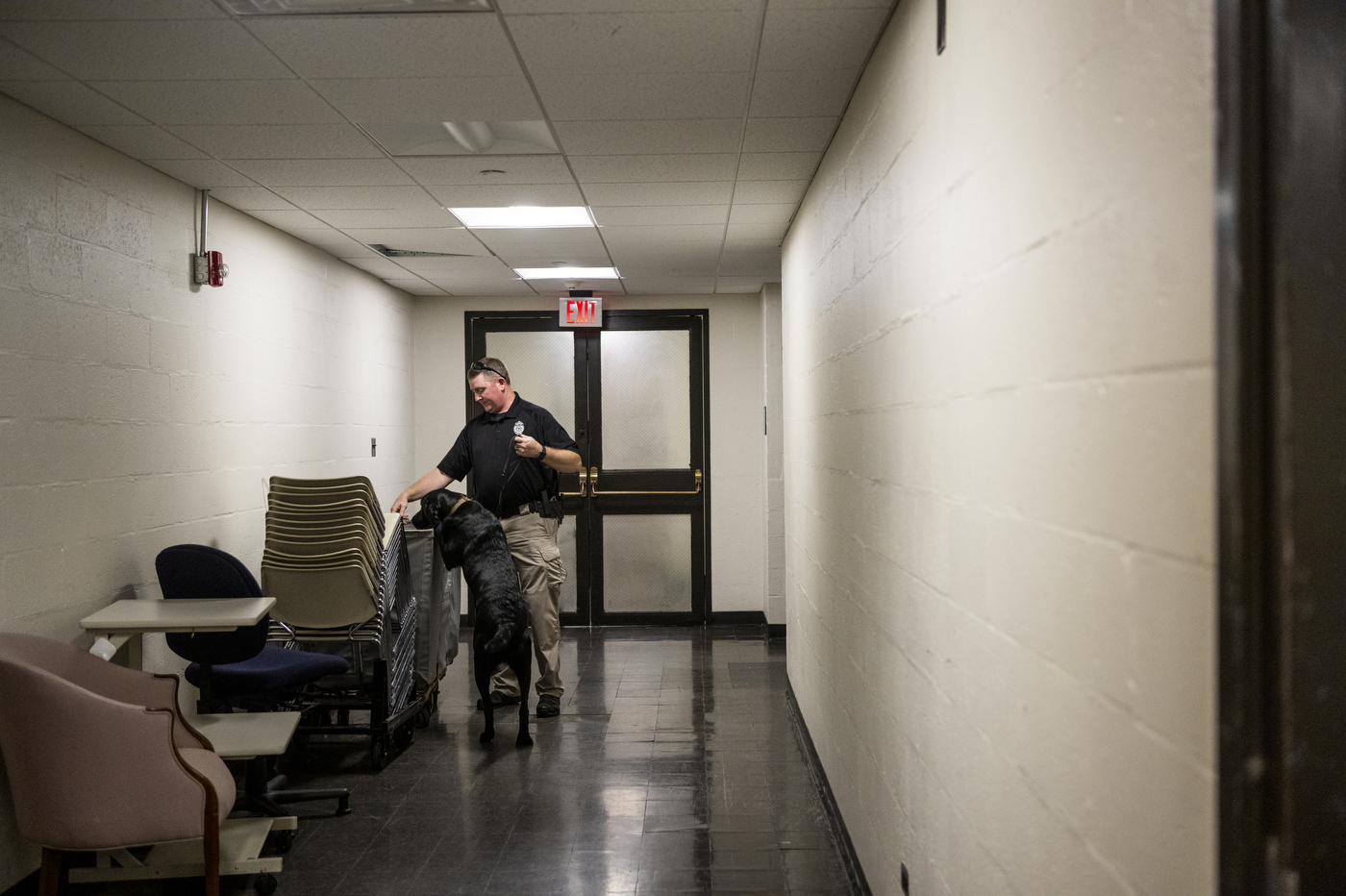 Pet him, he’s working a day sniffing around Northeastern with Sarge