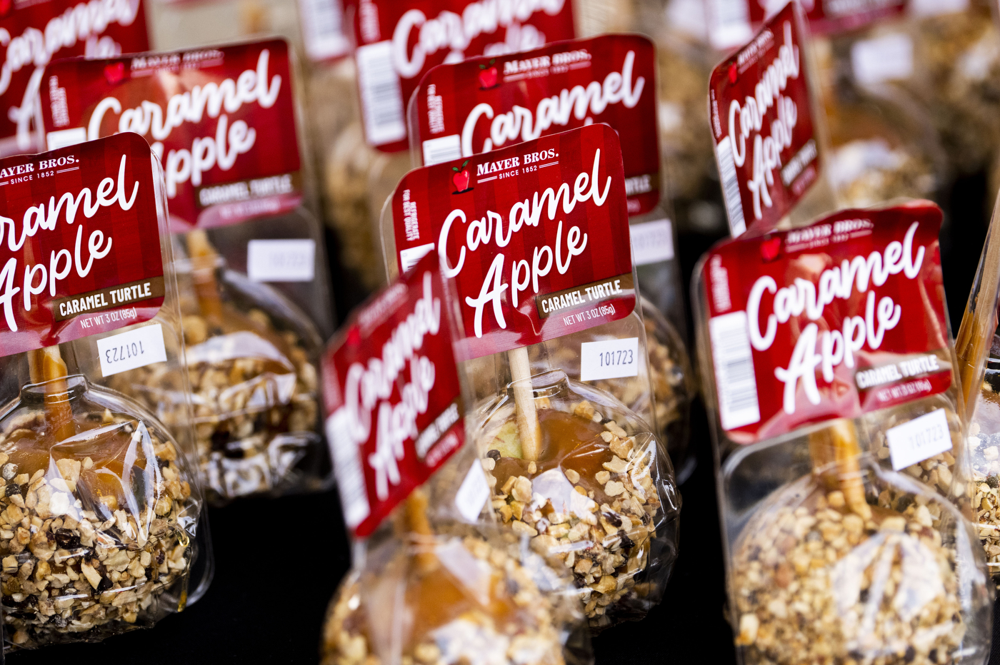 Rows of caramel apples. 