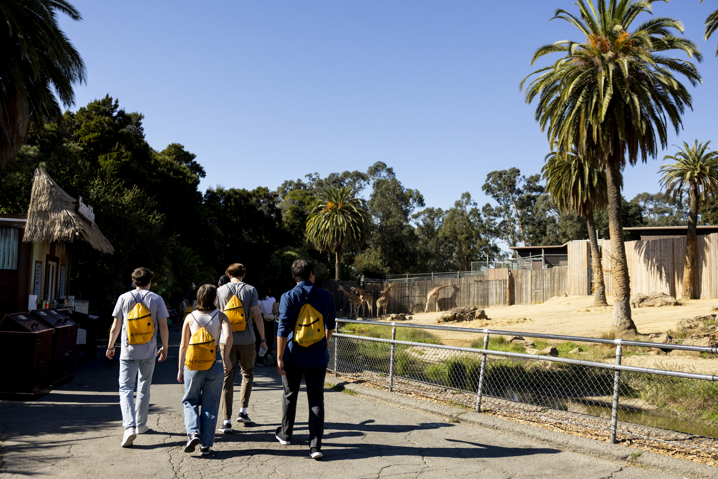 Northeastern students walking around the Oakland Zoo.