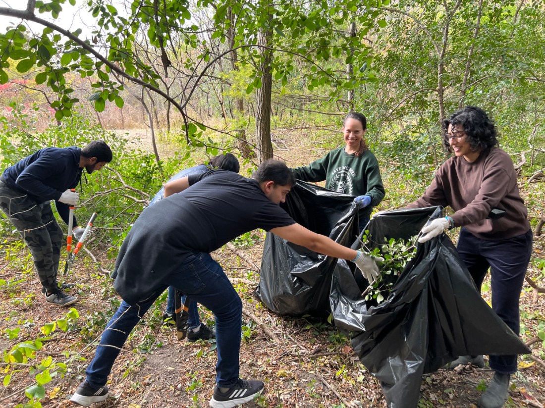 Students trimming branches and putting them into large garbage bags.