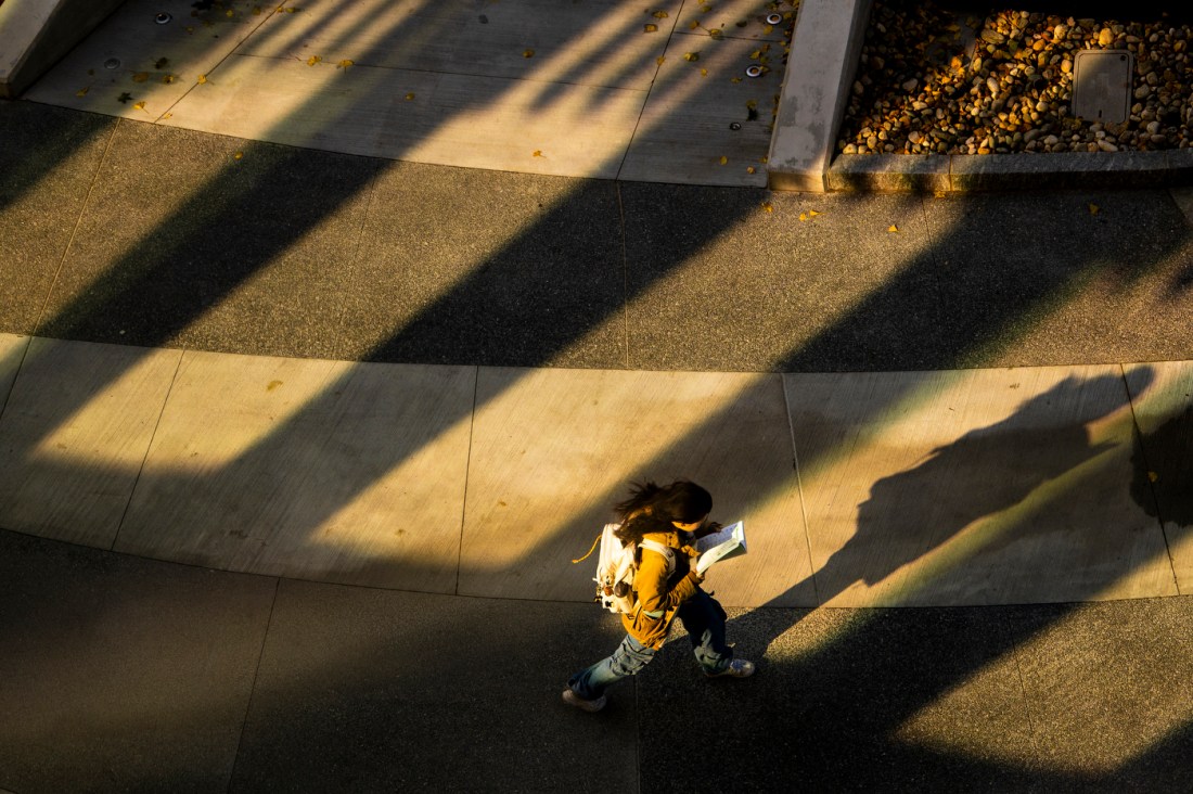Northeastern community member walking on campus in golden hour lighting.