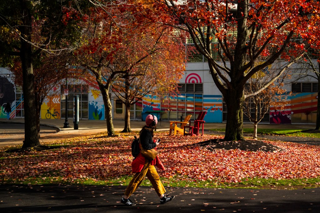 A person walks past foliage outside on a sunny day.