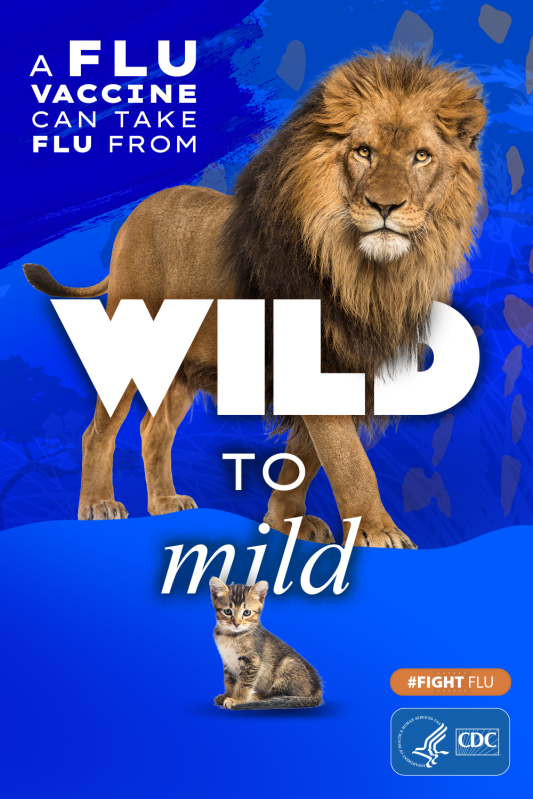 CDC Flu Vaccine add that shows a full grown male lion and a small kitten and has the phrase "A flu vaccine can take you from wild to mild" on a blue background.