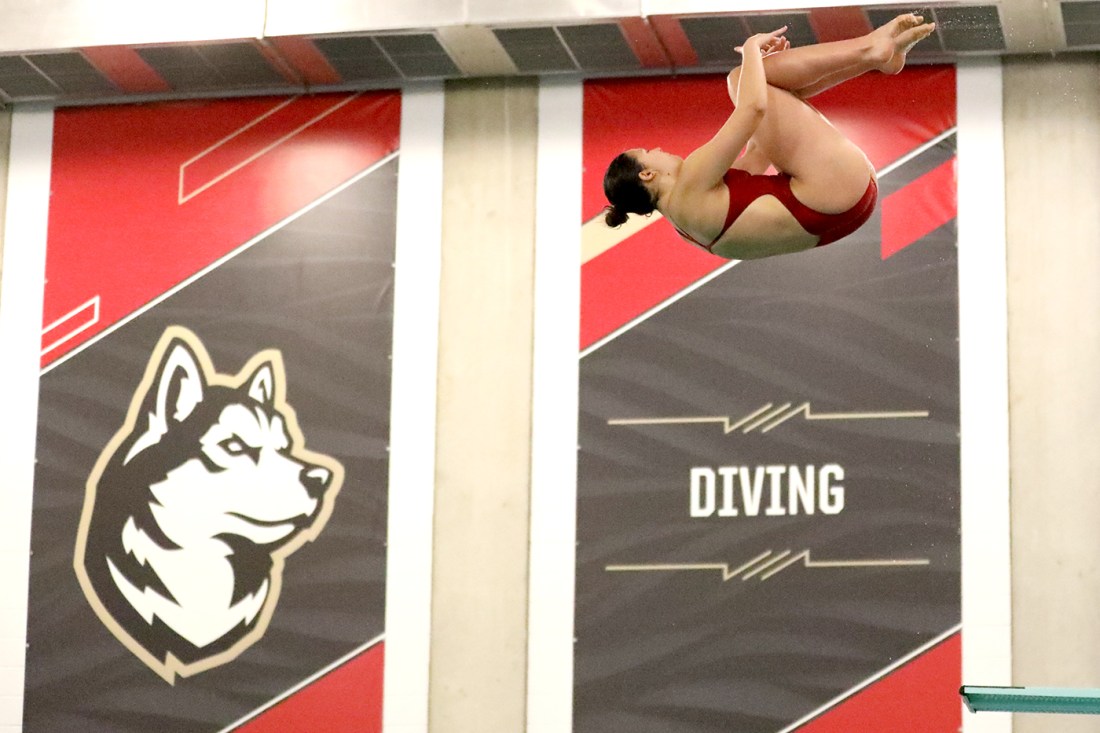 A diver positioned mid-air after jumping off a diving board. 