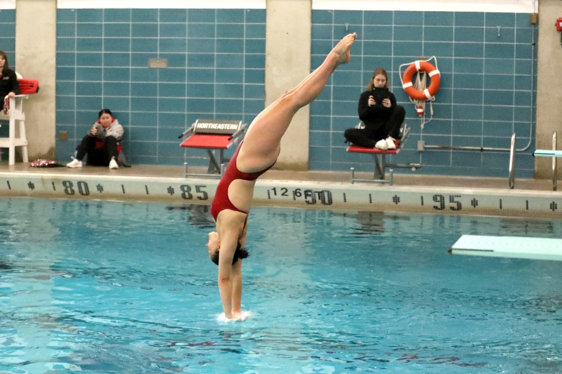 A diver jumps off a diving board and into a swimming pool.