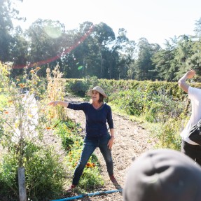 Tree - Women's Crop Windbreaker — Oakland's Own