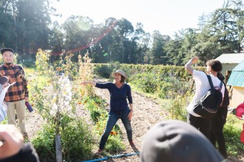Mills Community Farm manager Julia Dashe wearing a straw hat and gesturing to a plant in front of a group of students.