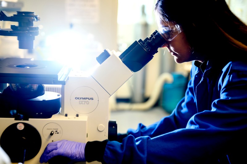 A person wearing a blue lab coat looks into a microscope inside a laboratory. 