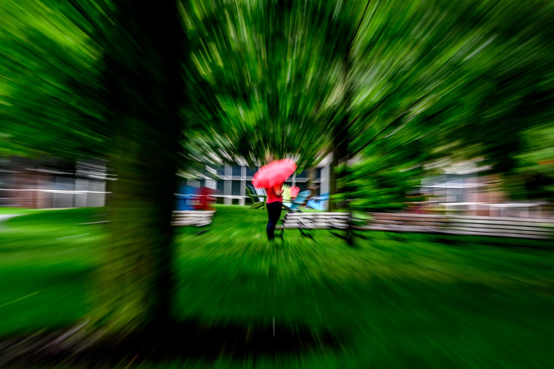 Long exposure shot of a person standing on a green lawn under a green tree while holding a red umbrella. 