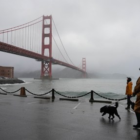 People walk their dogs at the base of the Golden Gate bridge on a foggy, overcast day. The water looks turbulent.