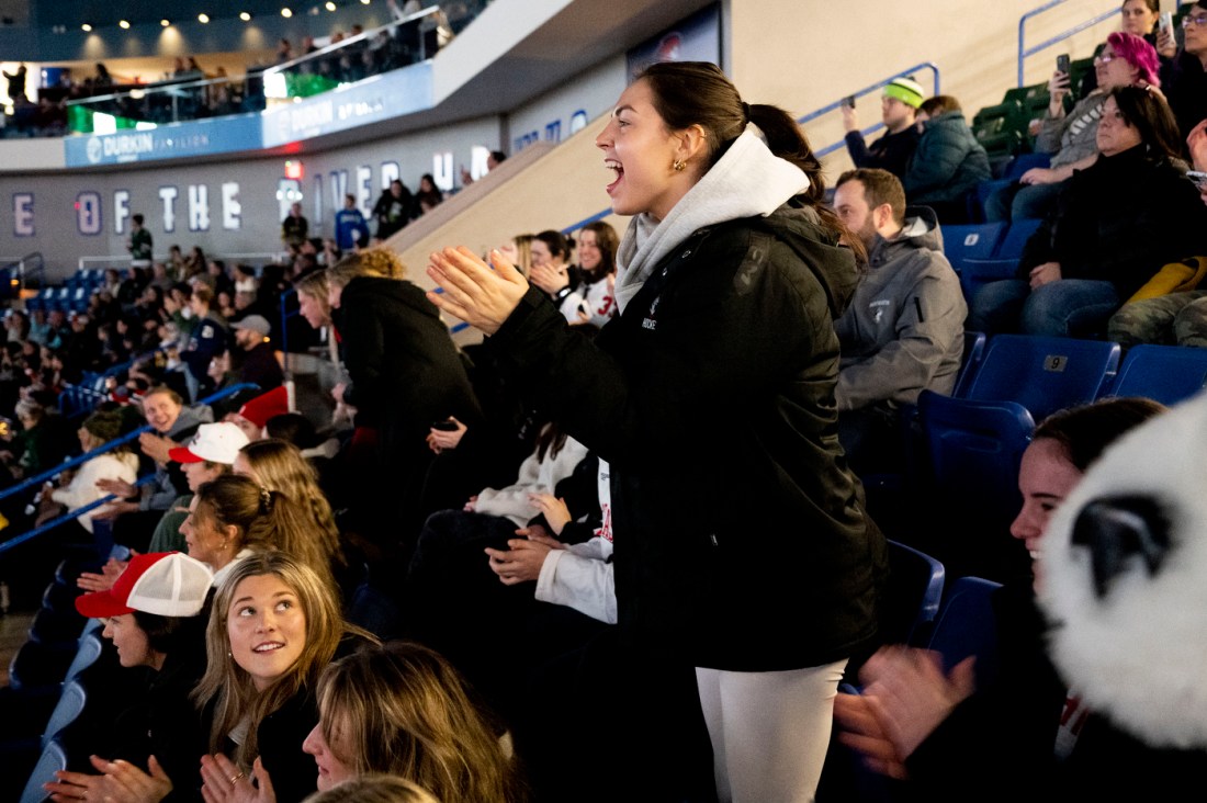 Dozens of fans cheer inside a hockey arena. 