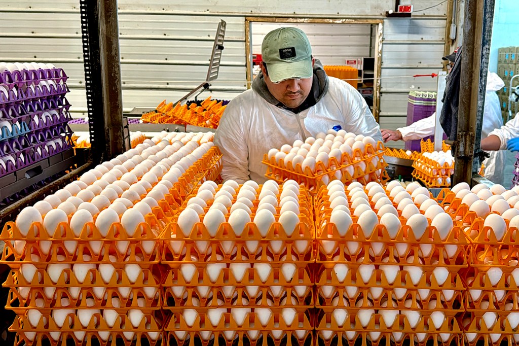 A worker moving orange crates of eggs.