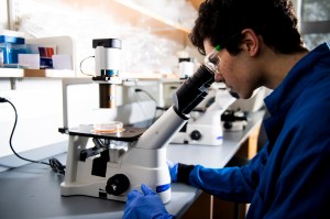 Dillon Nishigaya looking into a microscope.