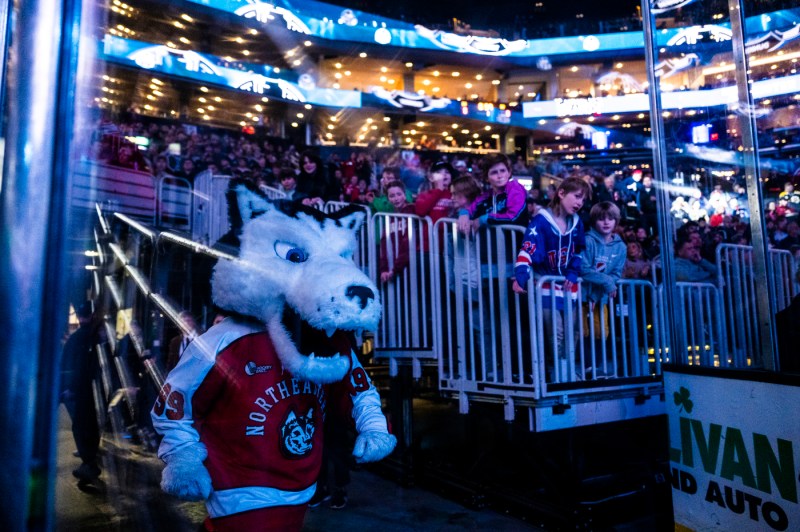 Paws, wearing a Northeastern jersey, marches determinedly down the stands at TD Garden during the Men's Beanpot.