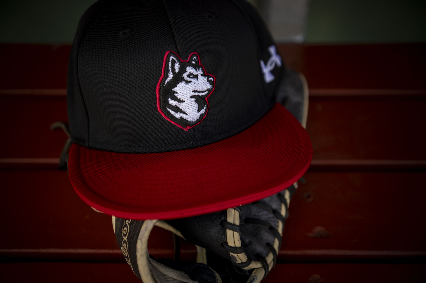 A black and red Northeastern men's baseball hat with an embroidered husky on the front.