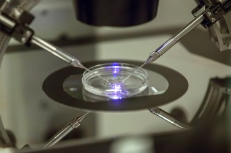 An in vitro fertilization embryologist works on a petri dish.