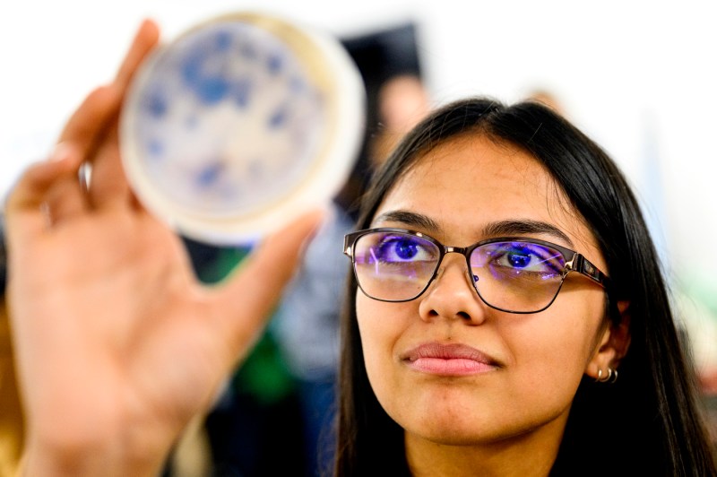 Student looking up at a petri dish.