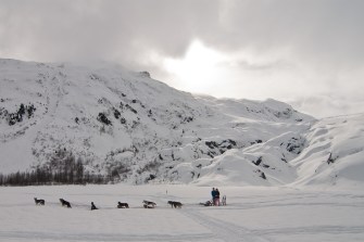 A sled dog team in Alaska.