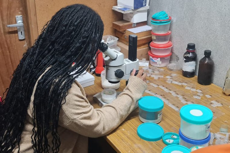 Leah Oruko looking in a microscope.