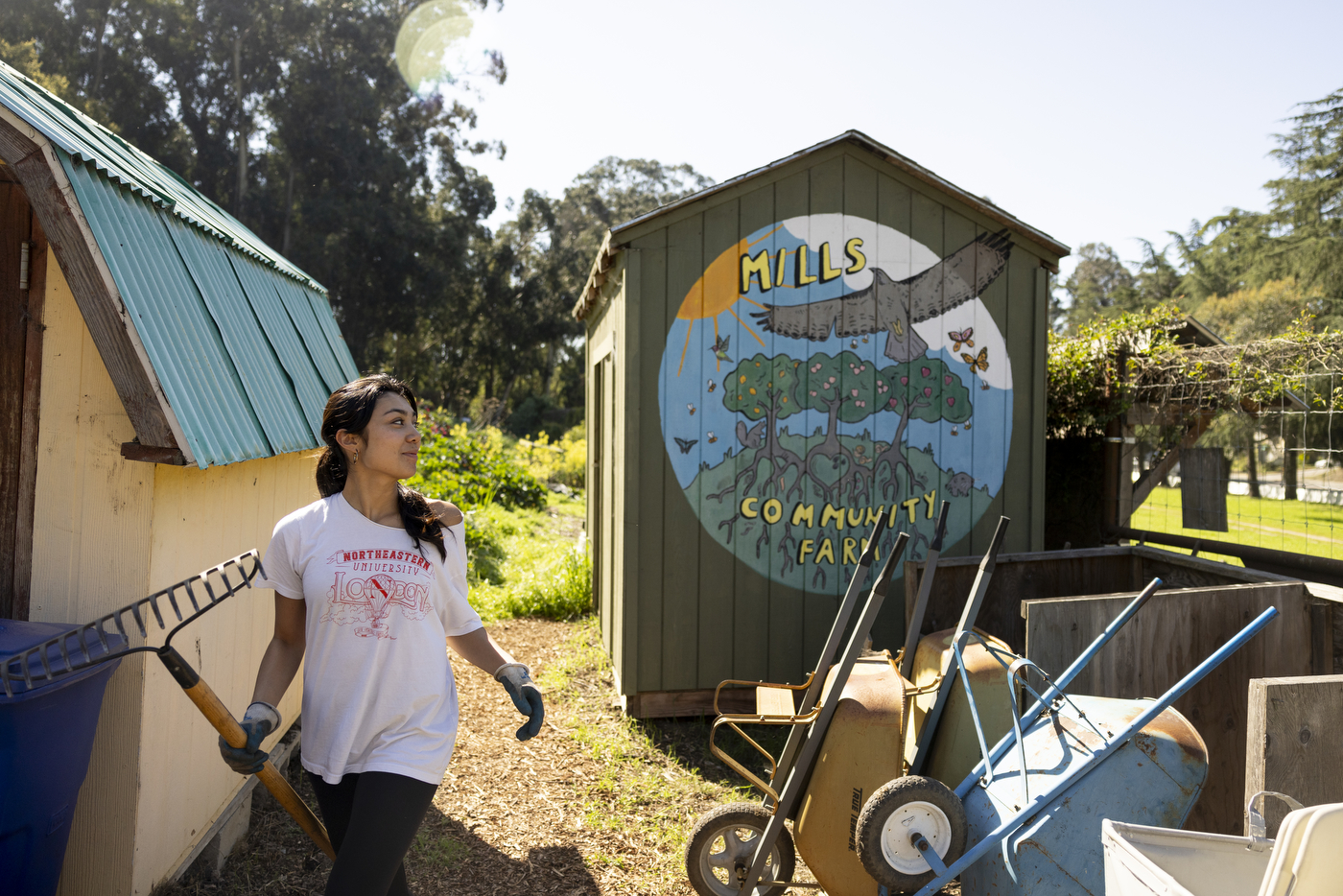 A person walks past a shed with a brightly colored mural with yellow text: "Mills Community Farm."