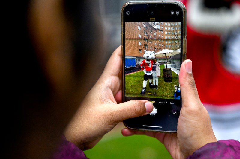 A person taking a photo of the Northeastern husky mascot Paws on their phone.