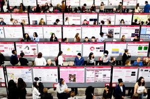 Rows of students presenting posters at the 2024 RISE Expo.