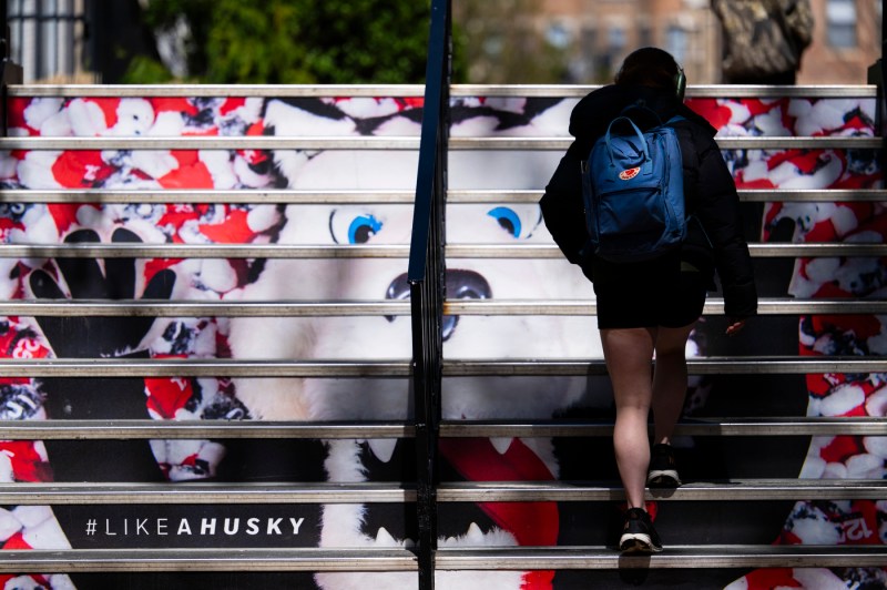 A person walks up a flight of stairs painted as a husky mascot's face.