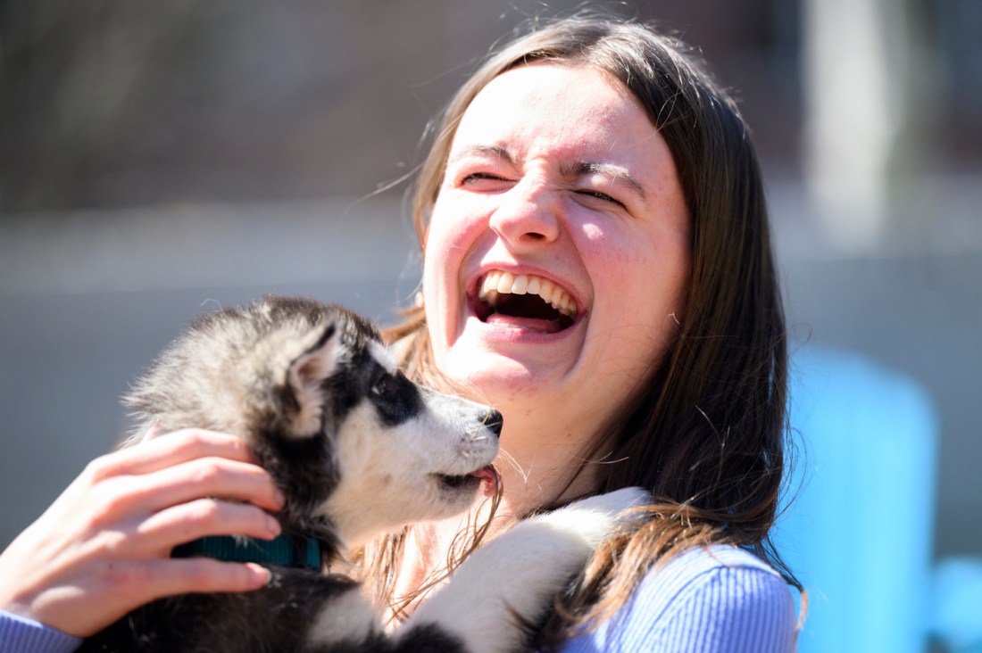 A person laughs while holding a husky puppy.