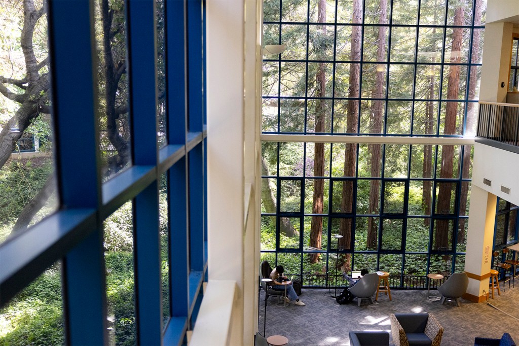 People sit inside a library with large windows around a wooded area.