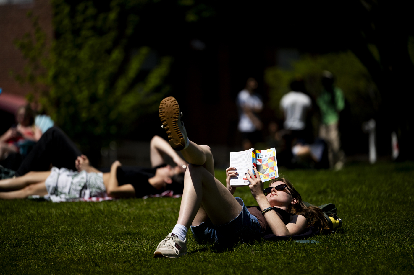 A person reads a book while lying in the grass outside on a sunny day.