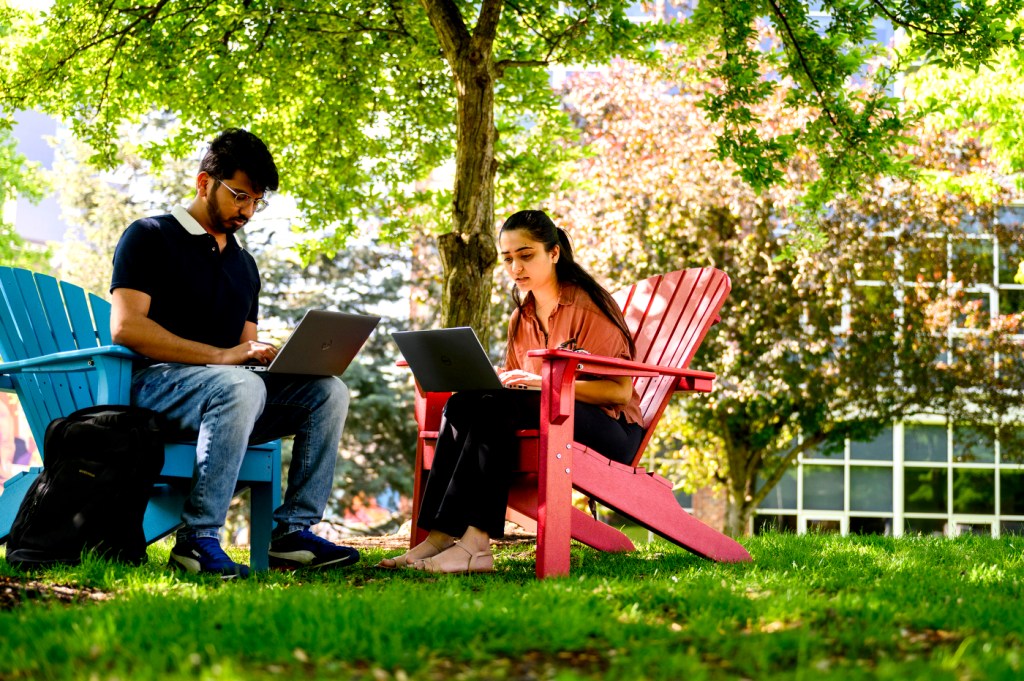 Two people work on laptops while sitting on red and blue lawn chairs outside on a sunny day.