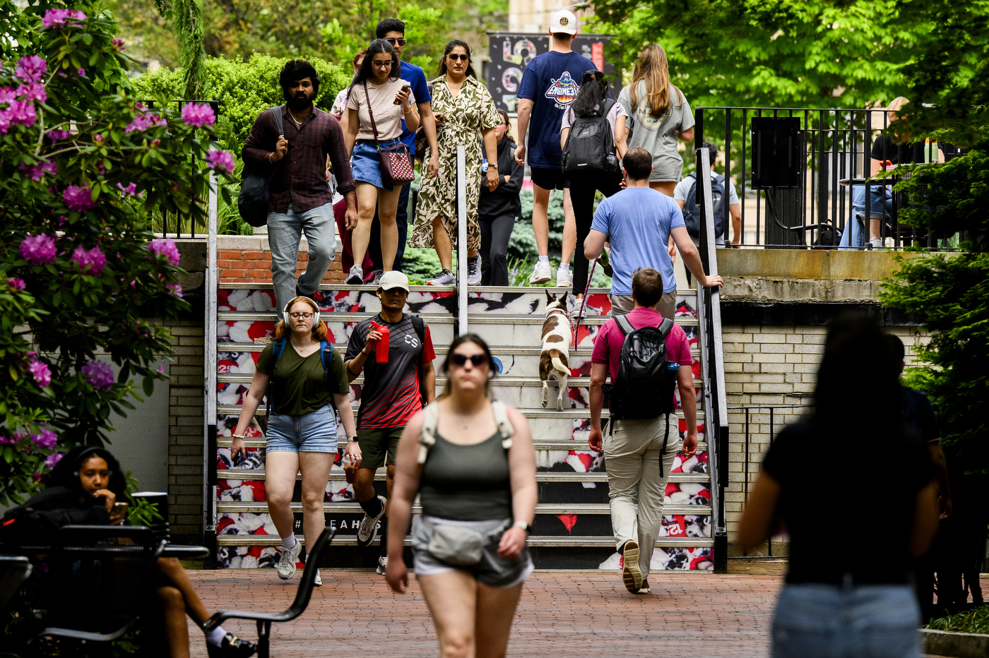 Multiple people walk around outside on a sunny day. 