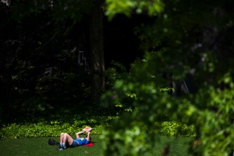 A person reads a book outside in a garden on a sunny day.