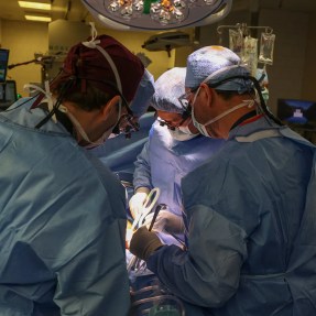 Three surgeons performing a kidney transplant.