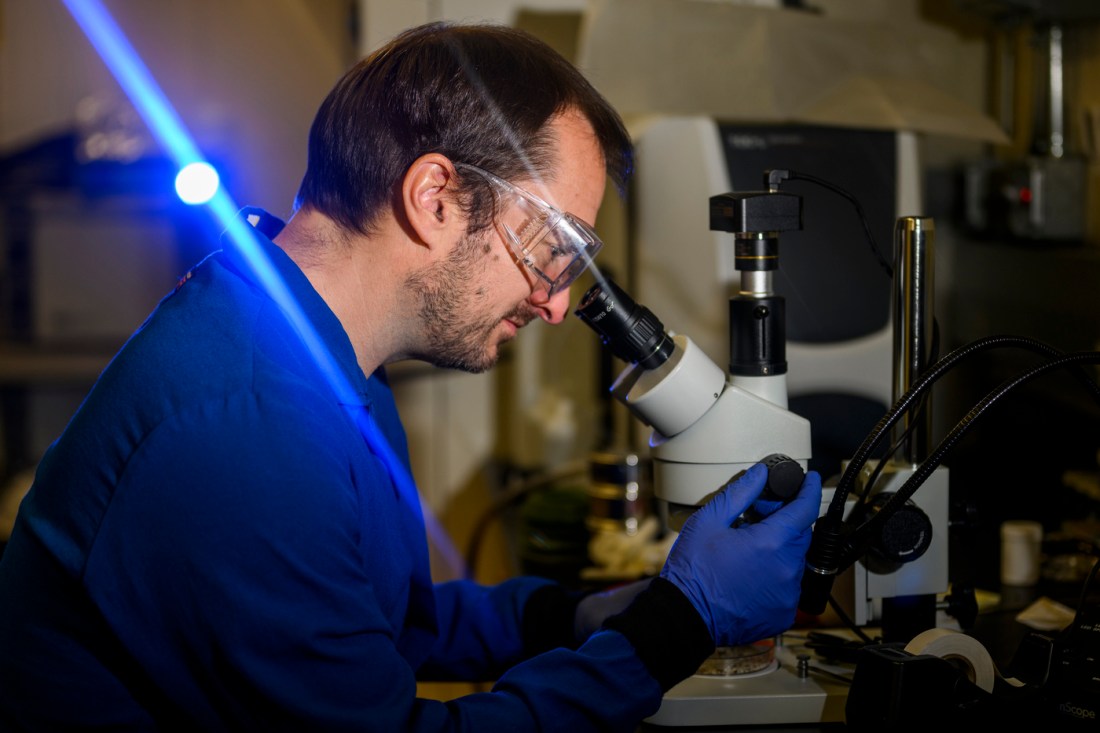 Aron Stubbins inspecting microplastics through a microscope.