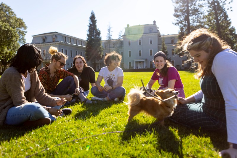 Students sitting on the grass at Northeastern's Oakland Campus.