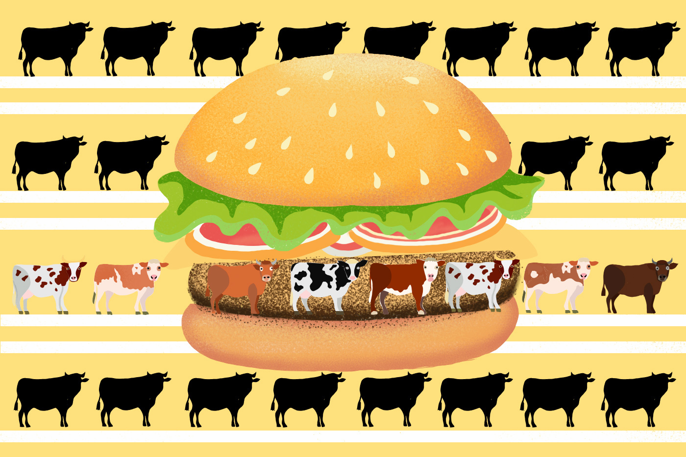 Where Do Burgers Come From? Cookout Attendees Often Unaware