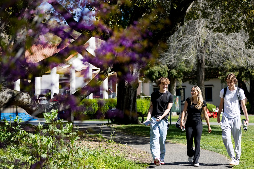 Three people walk down a path near flowers on a sunny day outside.