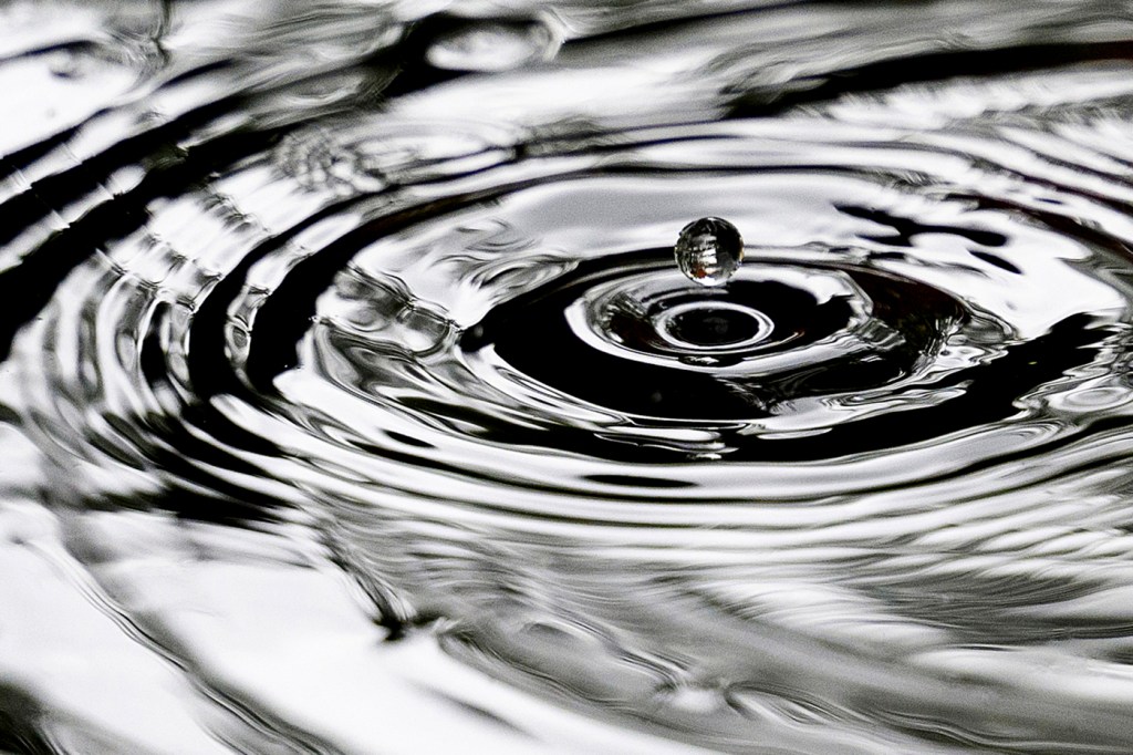 A raindrop hovers over a ripple of water in a pond.