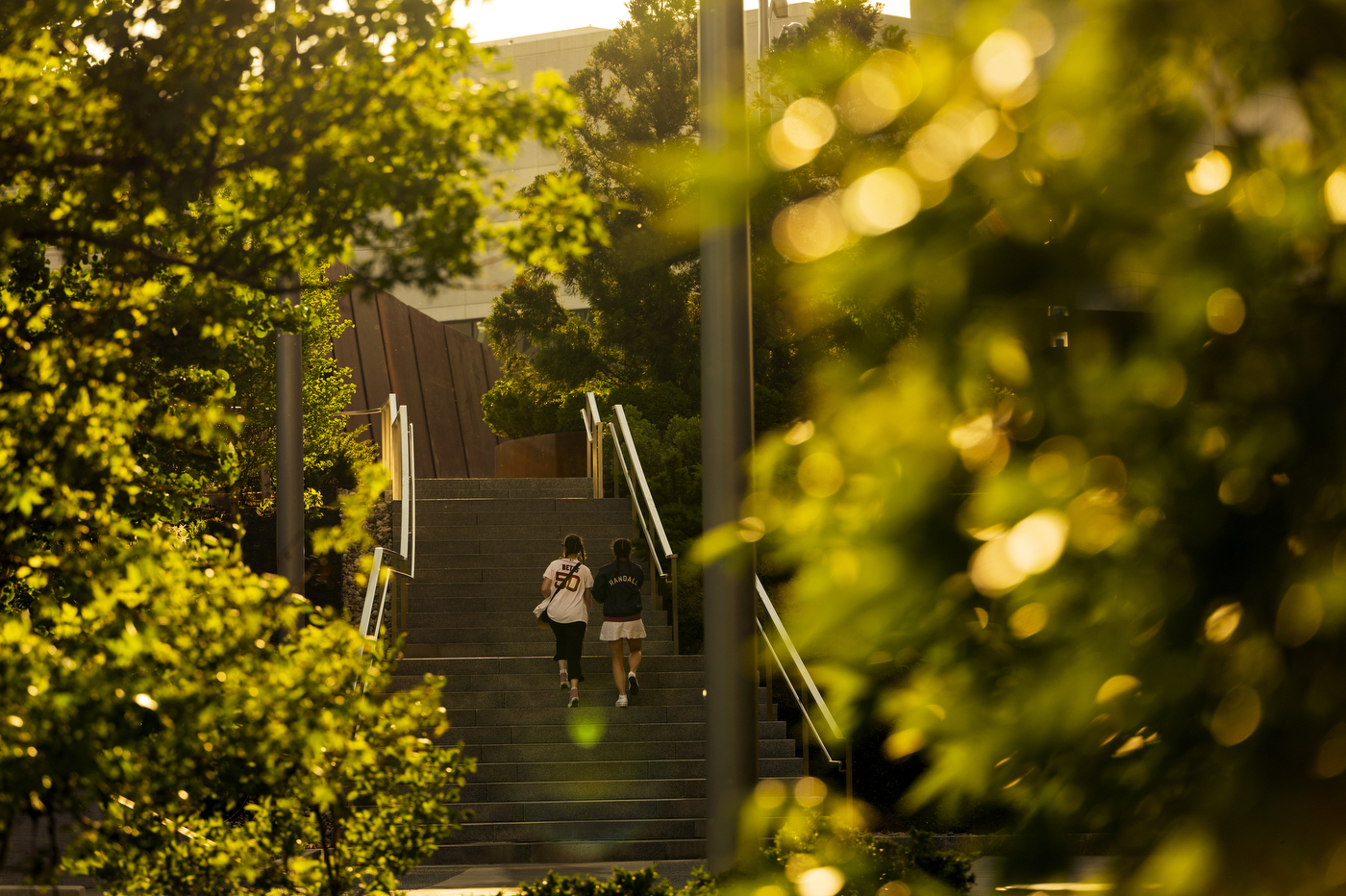 People walk up a flight of stairs outside on a sunny day.