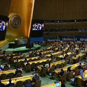 Hundreds of people sit in the United Nations Headquarters, a room with green carpets and wooden benches facing large TV screens.
