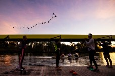 Rowers carrying their rowboat out of the water at dusk. Geese fly overhead.